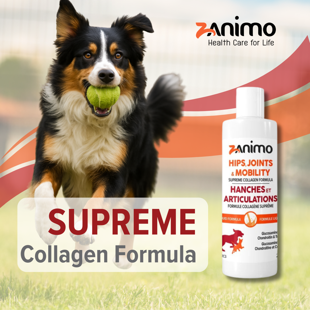 custom-slideshow-image-mobile-block_nbLJHz