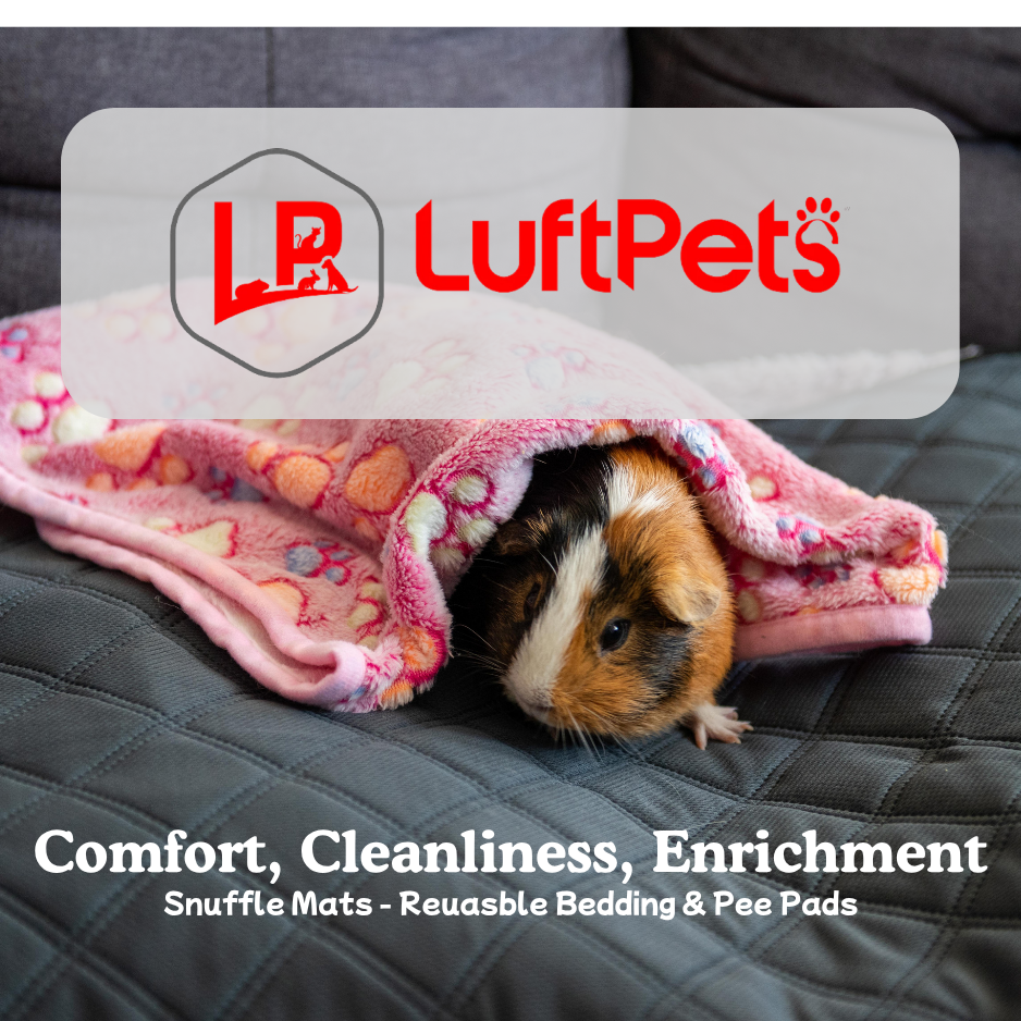 custom-slideshow-image-mobile-block_t6JAFH