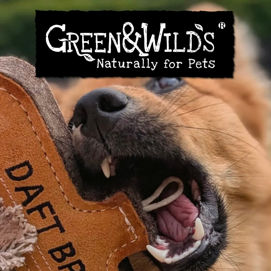 custom-slideshow-image-mobile-block_pWWRT9