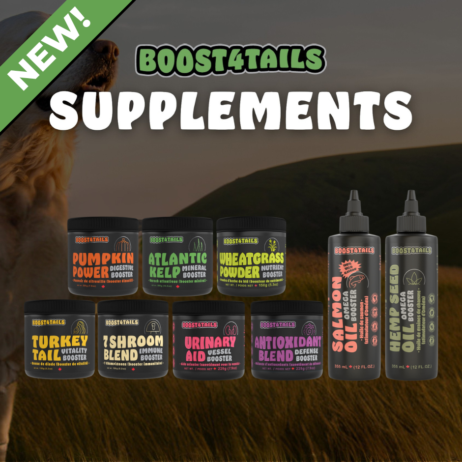 custom-slideshow-image-mobile-block_b8z6Np