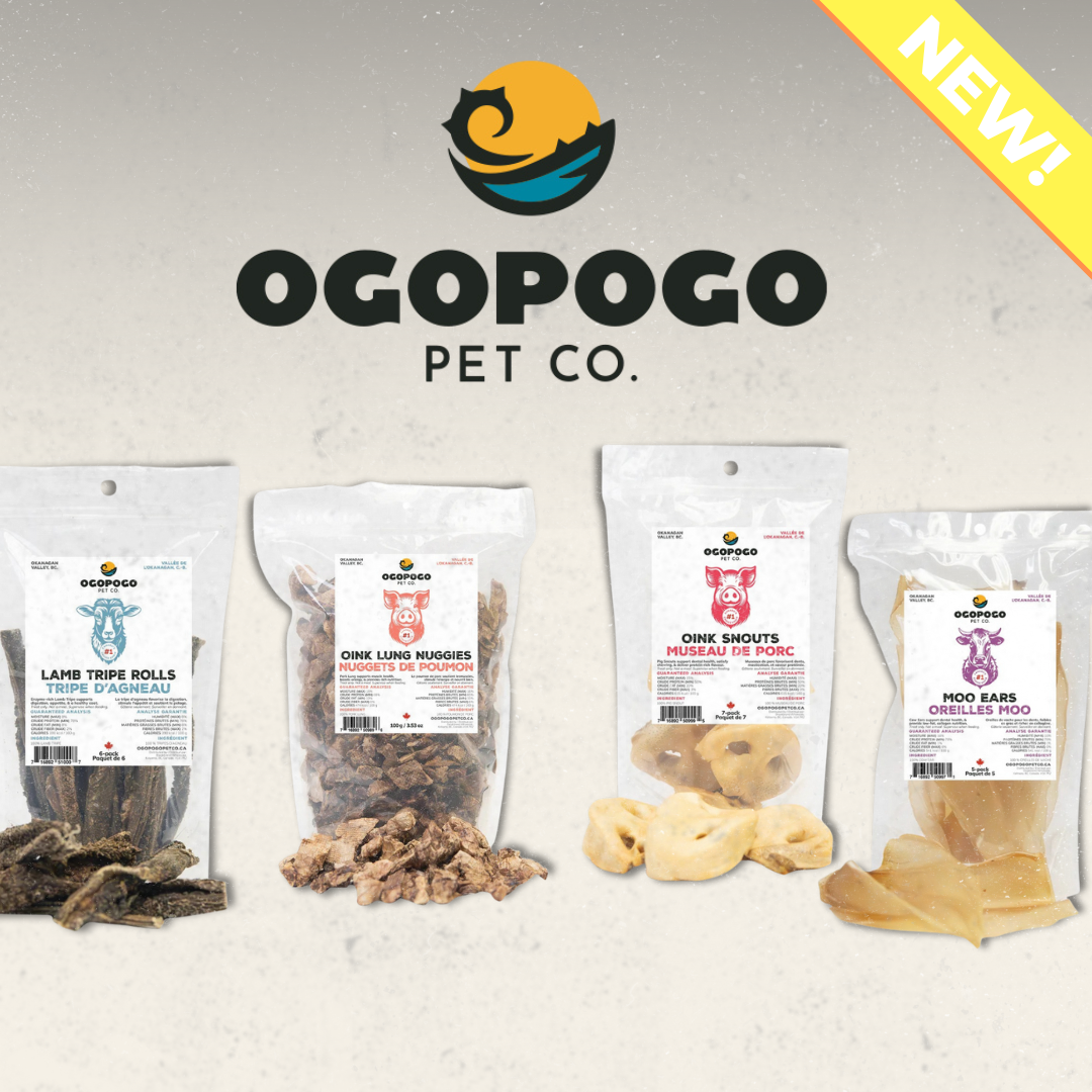 custom-slideshow-image-mobile-block_dF3qck